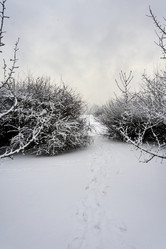 Similar image 21495965