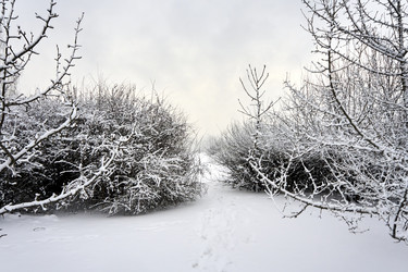 Similar image 21495966