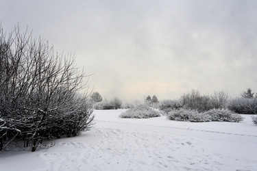 Similar image 21495967