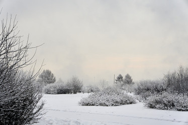 Similar image 21495968