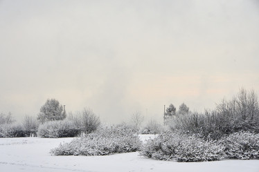 Similar image 21495970