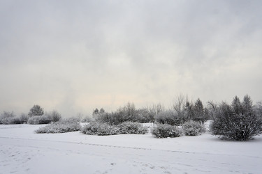 Similar image 21495971