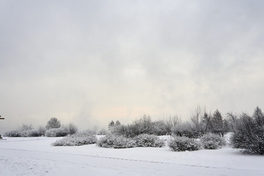 Similar image 21495972