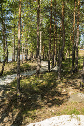 Similar image 21491042