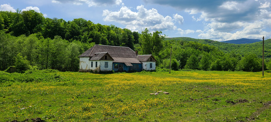 Similar image 21489103