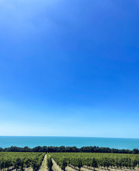 Similar image 21495741