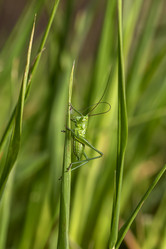 Similar image 21486523