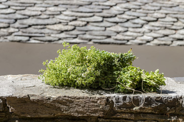 Similar image 21495626