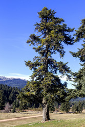 Similar image 21490987