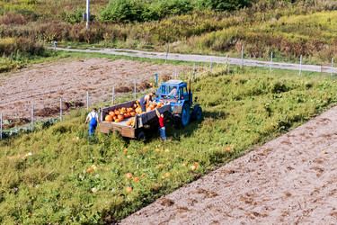 Similar image 21482767