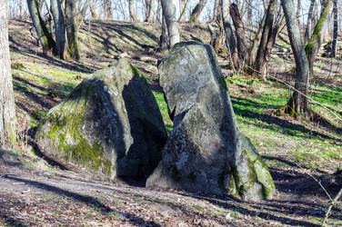 Similar image 21482774