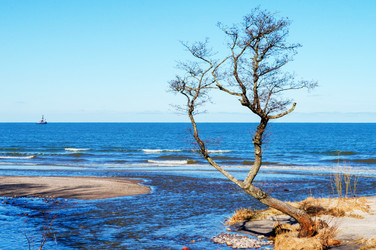 Similar image 21482776