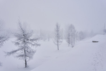 Similar image 21495974