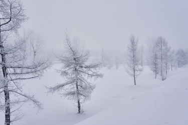 Similar image 21495975