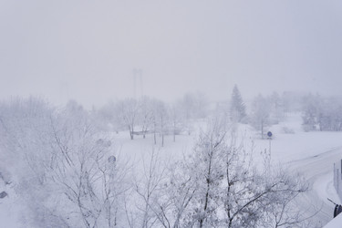 Similar image 21495976