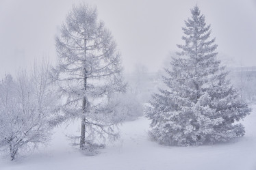 Similar image 21495981