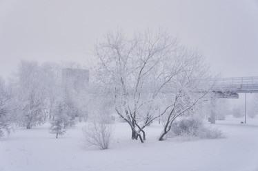 Similar image 21495985