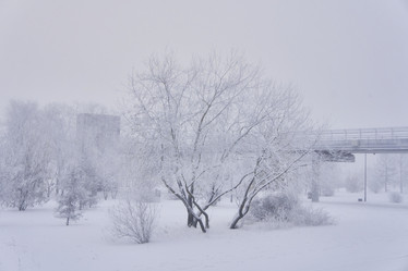 Similar image 21495986