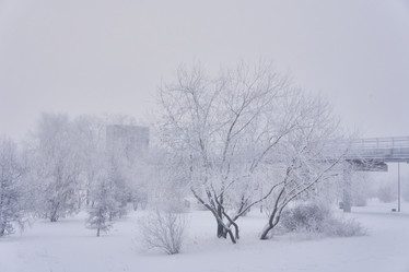 Similar image 21495987