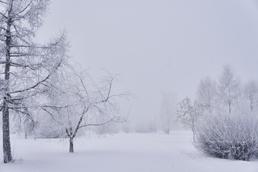 Similar image 21495993