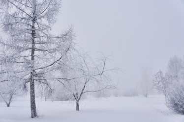 Similar image 21495996