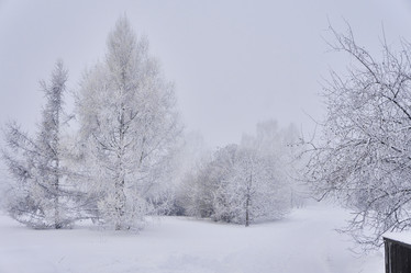 Similar image 21495997