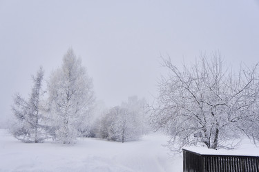 Similar image 21496485