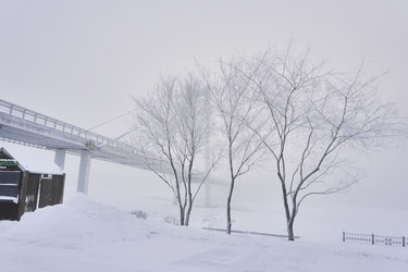 Similar image 21496486