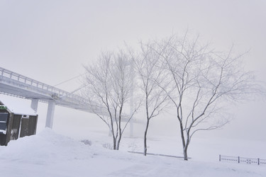 Similar image 21496487