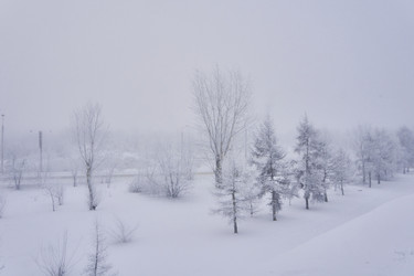 Similar image 21496490