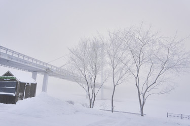 Similar image 21496492