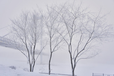 Similar image 21496493