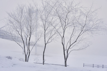 Similar image 21496497