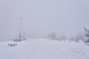 Similar image 21496498