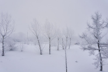 Similar image 21496503