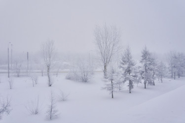 Similar image 21496504