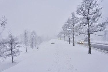 Similar image 21495999