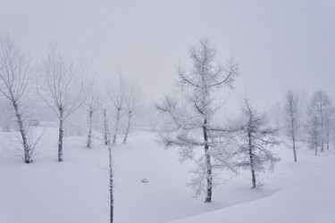 Similar image 21496001