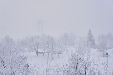 Similar image 21496002