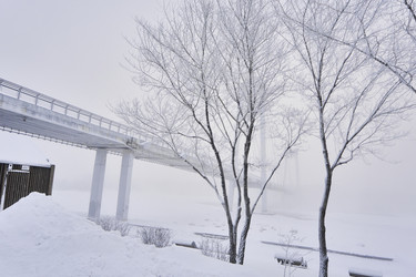 Similar image 21496003