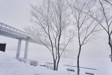 Similar image 21496004