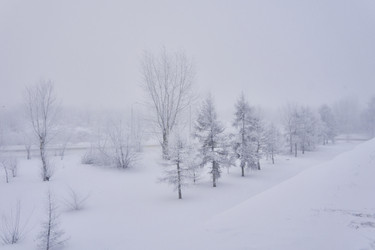 Similar image 21496005