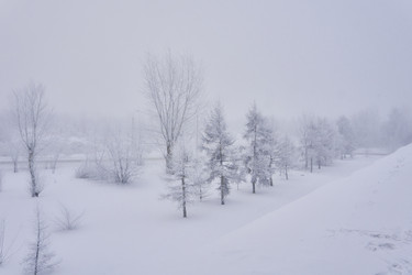 Similar image 21496007