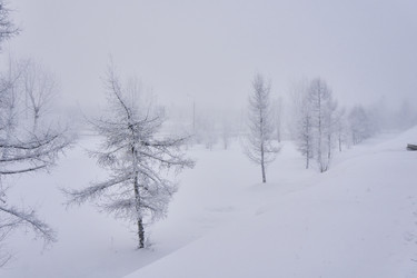 Similar image 21496009