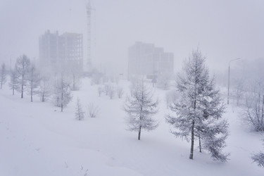 Similar image 21496011