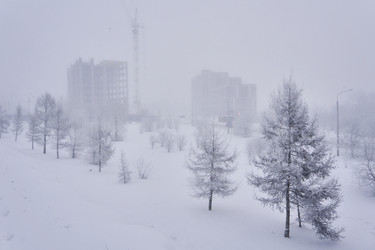 Similar image 21496012