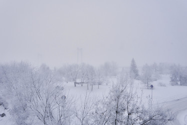 Similar image 21496018