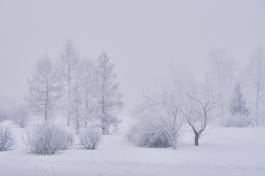 Similar image 21496021