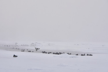 Similar image 21496022