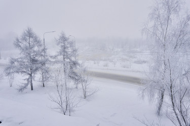 Similar image 21496025